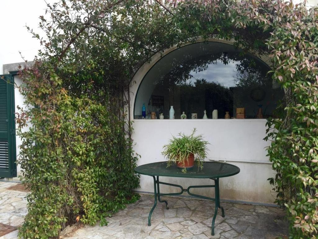 Casina Mozart Lecce Bed and Breakfast Magliano Exteriör bild