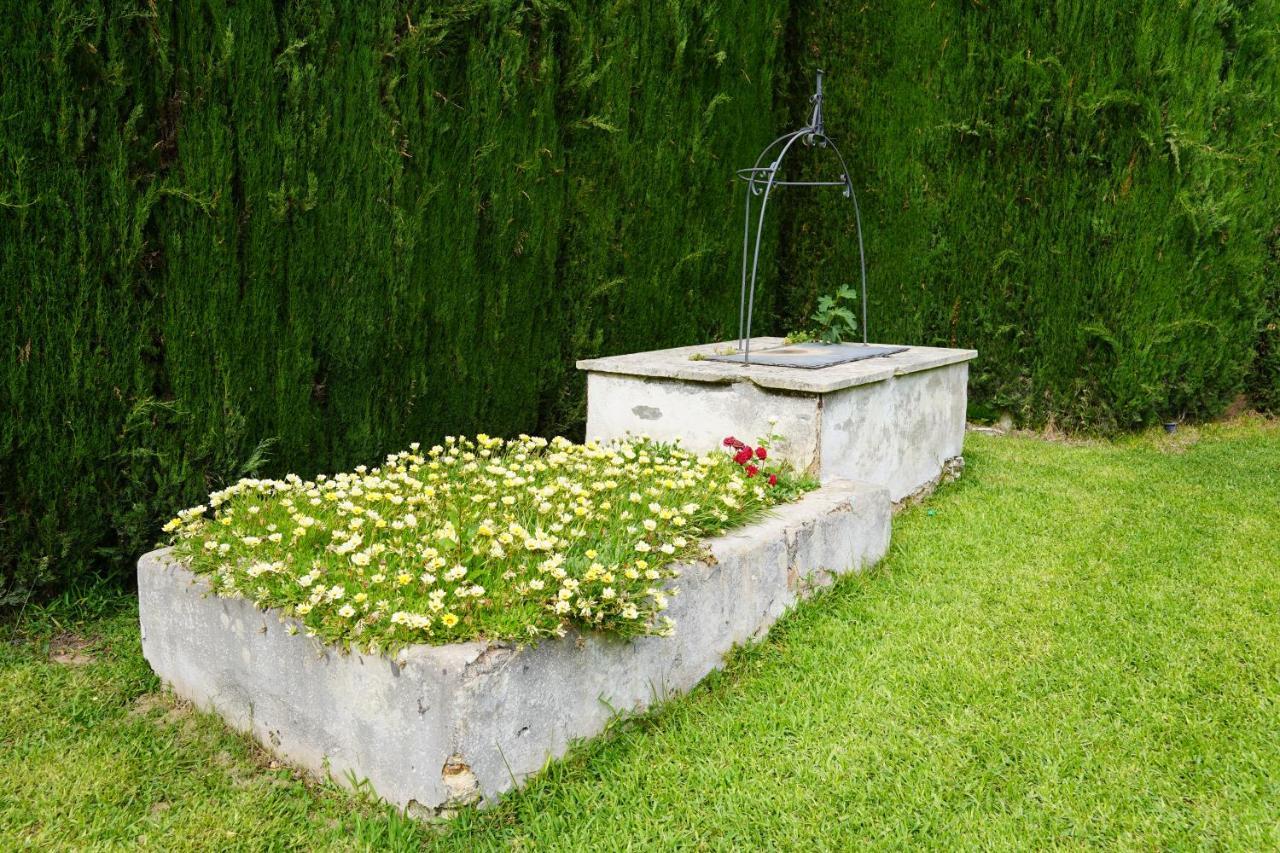 Casina Mozart Lecce Bed and Breakfast Magliano Exteriör bild