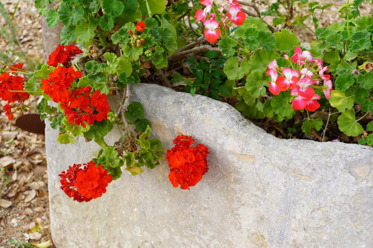 Casina Mozart Lecce Bed and Breakfast Magliano Exteriör bild